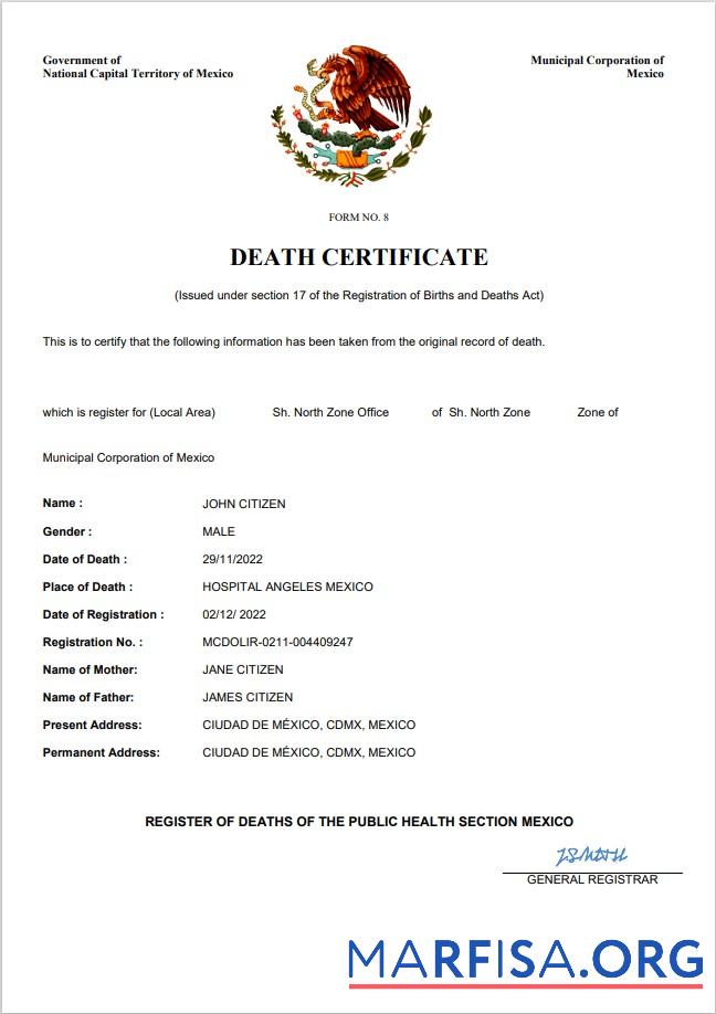Printable Mexico vital record death certificate Word and PDF template